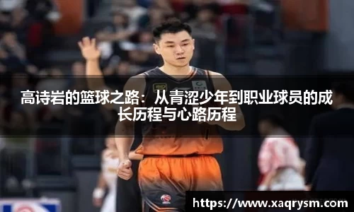 Bsports体育