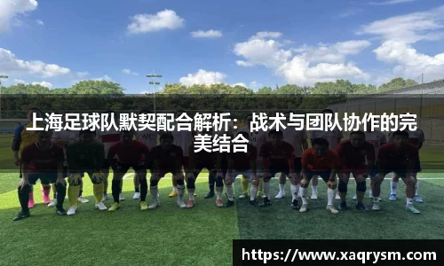 上海足球队默契配合解析：战术与团队协作的完美结合